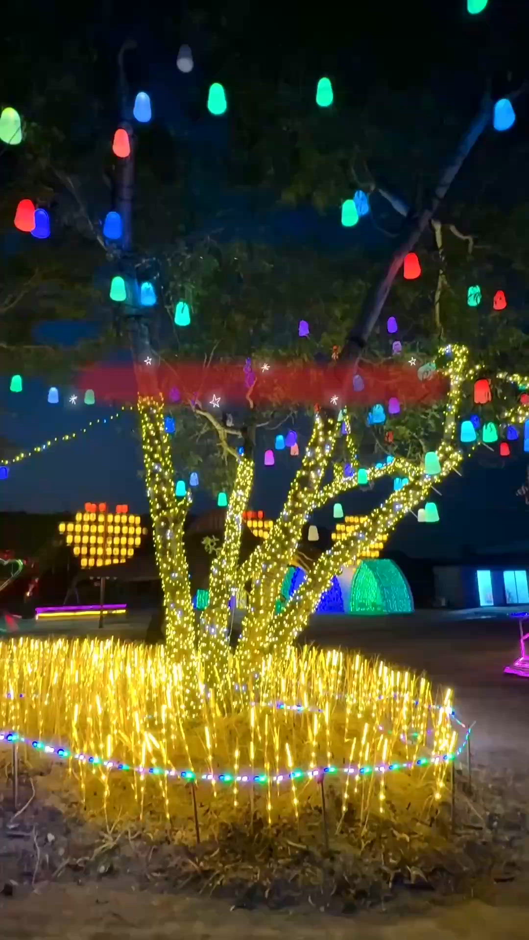 💥香港竟然都睇到極光？！