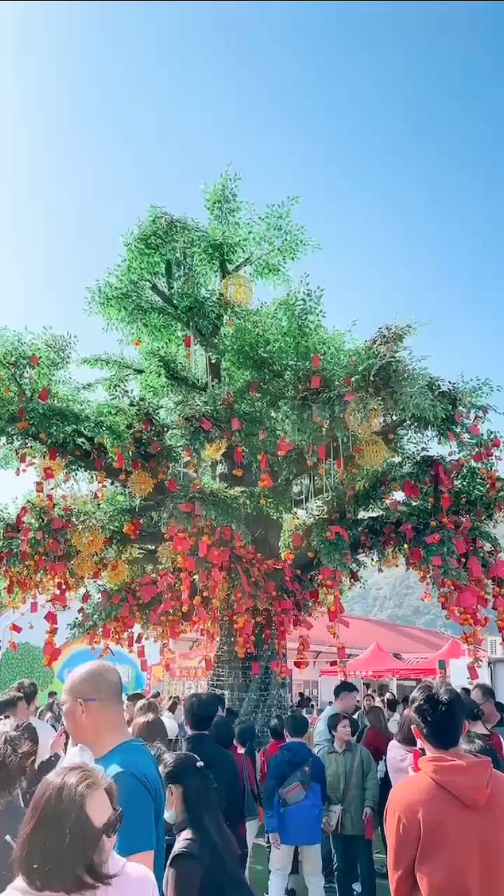 🎏大埔林村許願節2025🎊