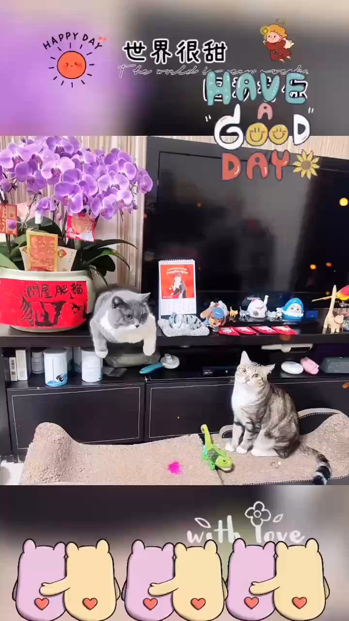 ✨✨快樂日常✨✨