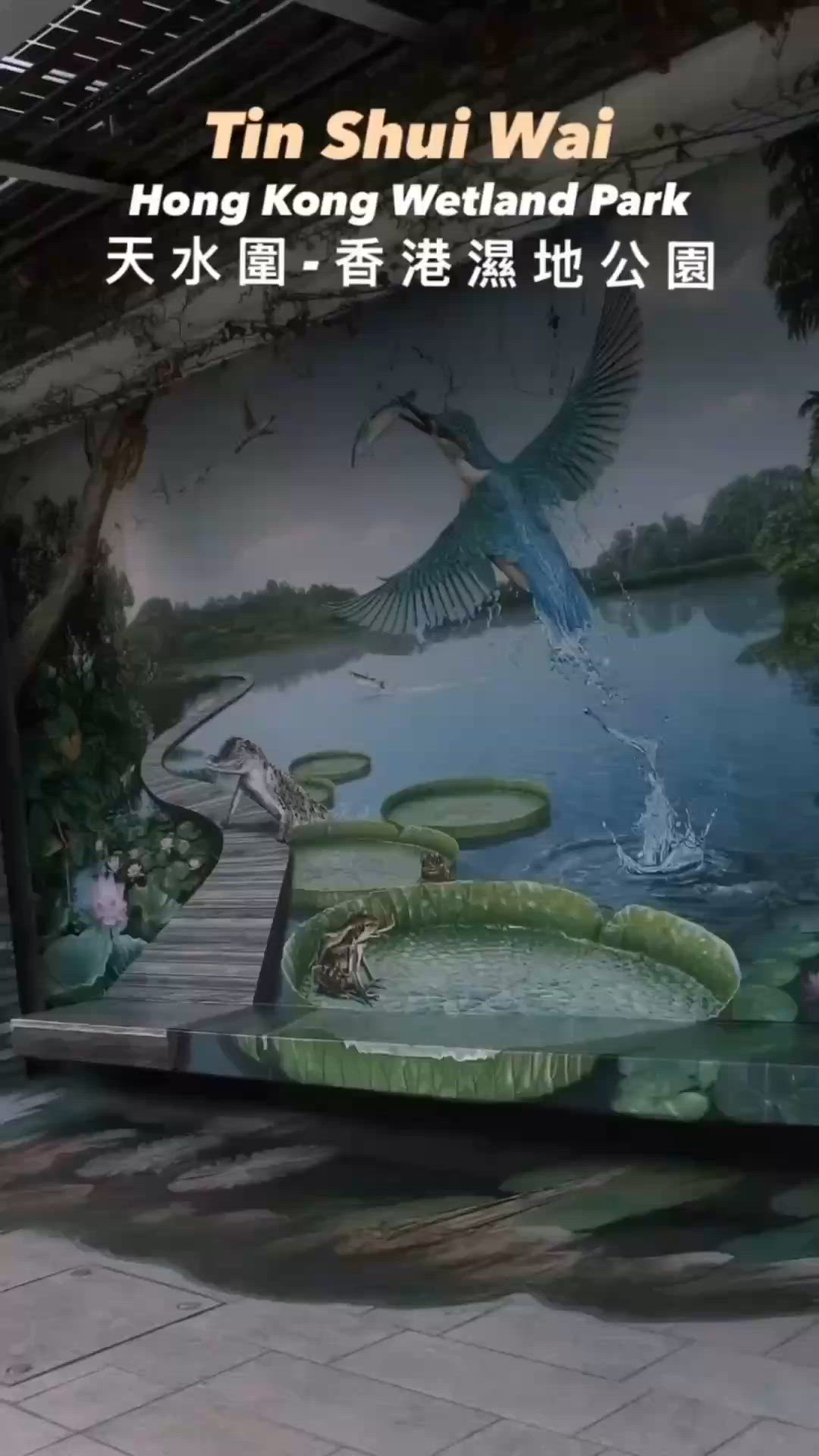 濕 地 公 園 ≣ 散 策 落 羽 松 𖡘𖤣𖤣𖤣