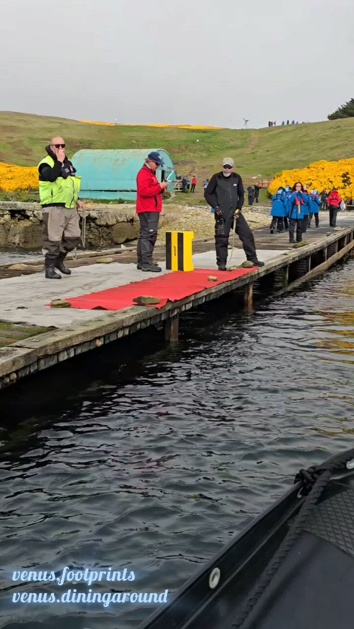 南極旅遊--Day3 Falkland Islands