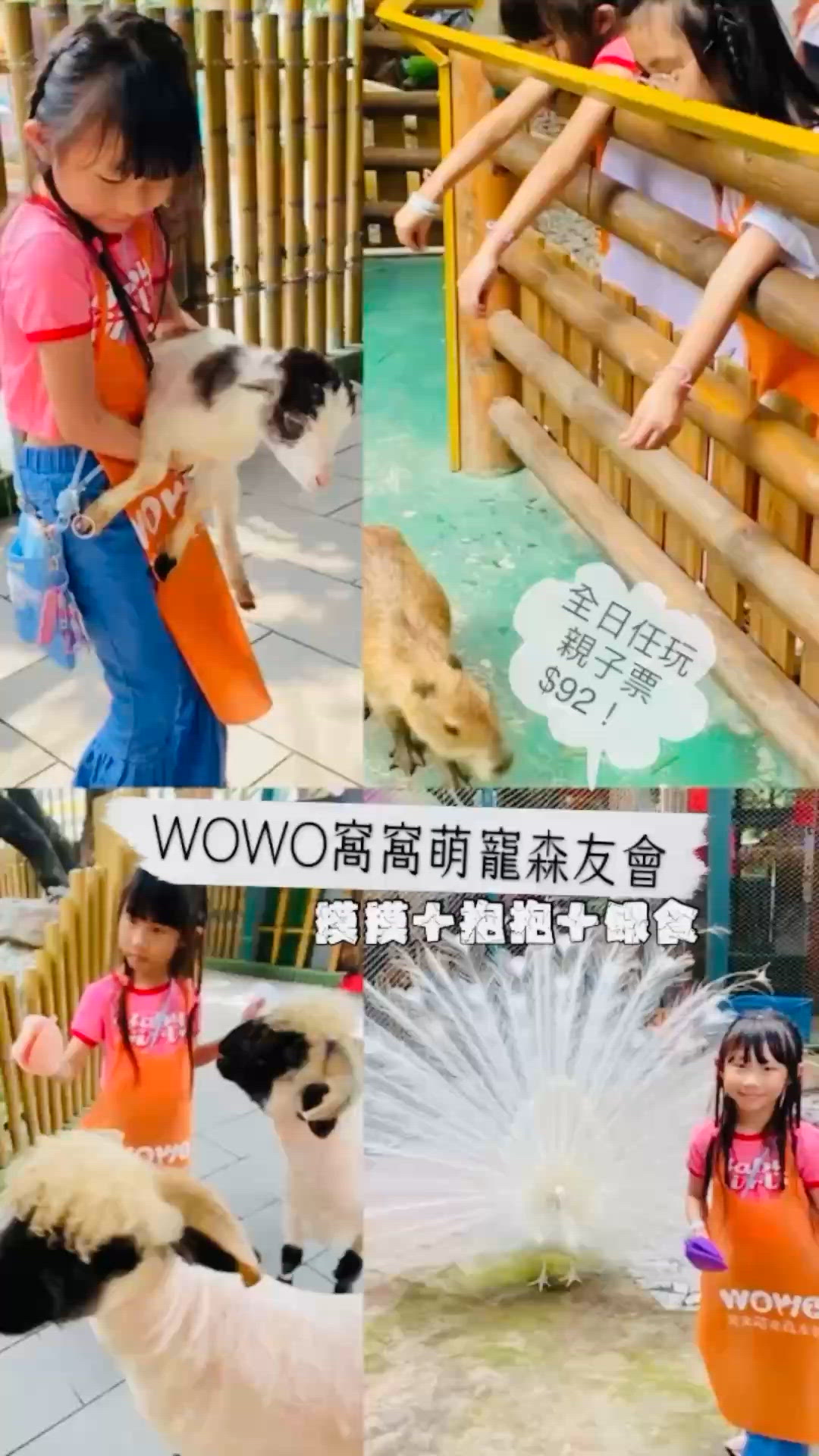 ## 深圳萌寵天堂！$92任玩🤩