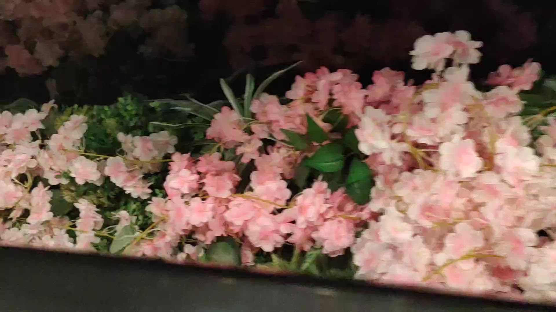 西九龍中心正門，扶手電梯縫隙有花海出沒！🌸🌷💮