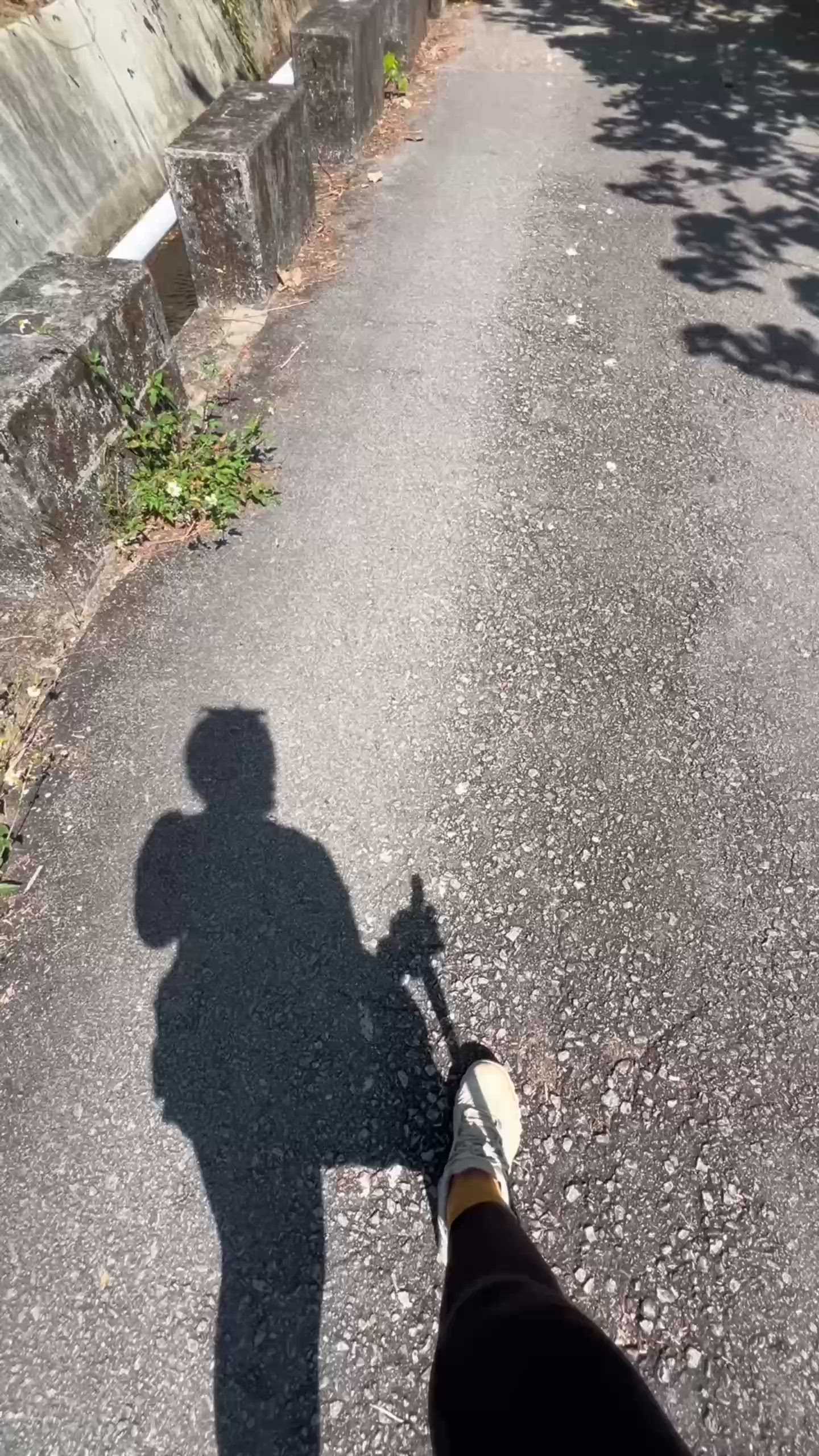 由荃灣行去元朗🚶‍♀️7小時全記錄