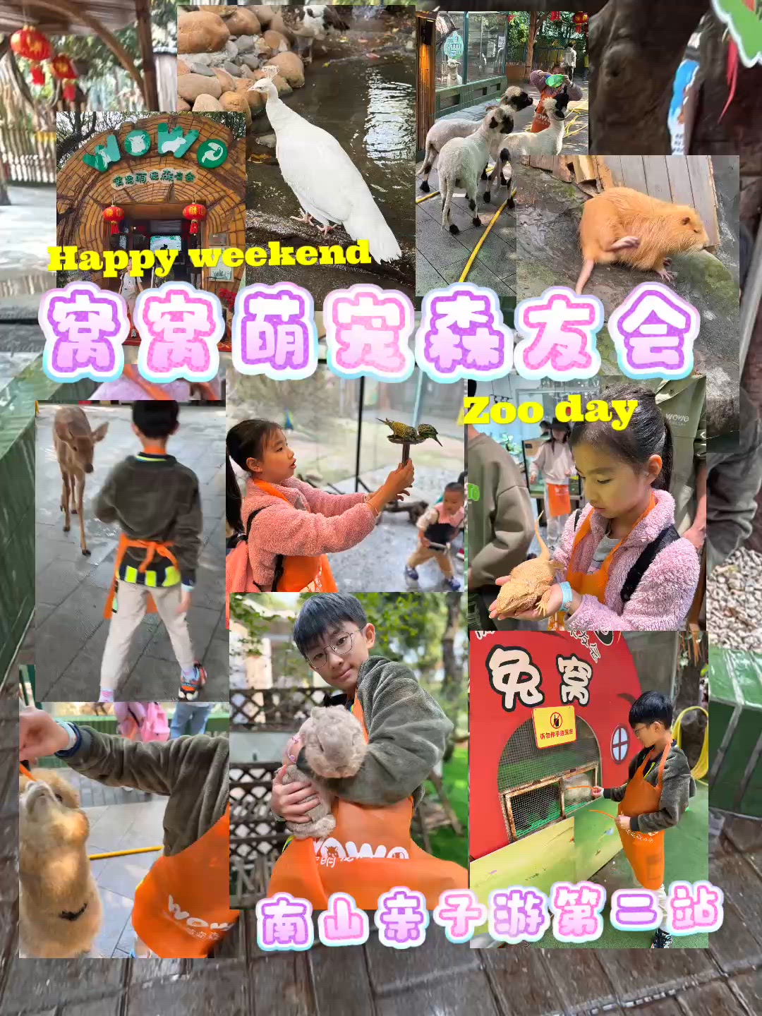 南山玩轉萌寵森友會 🐶🐱🐰