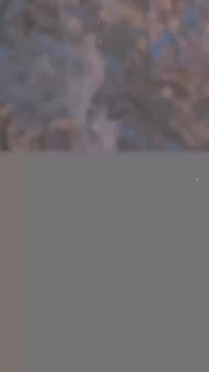 福岡 舞鶴公園。福岡城櫻花祭典。觀賞櫻花的日與夜