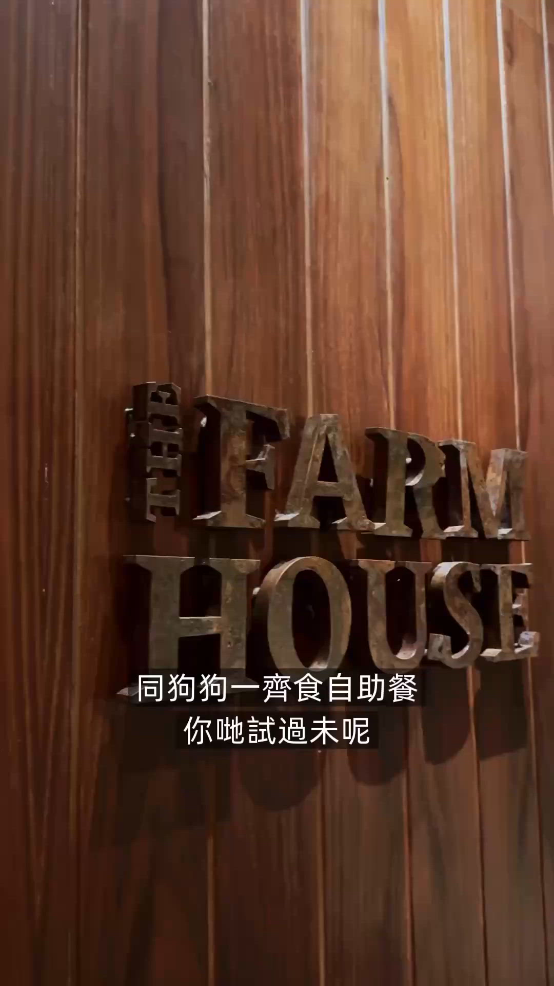 北角美食🇯🇵4月份春祭日本主題自助餐｜寵物有免費點心車⛩️