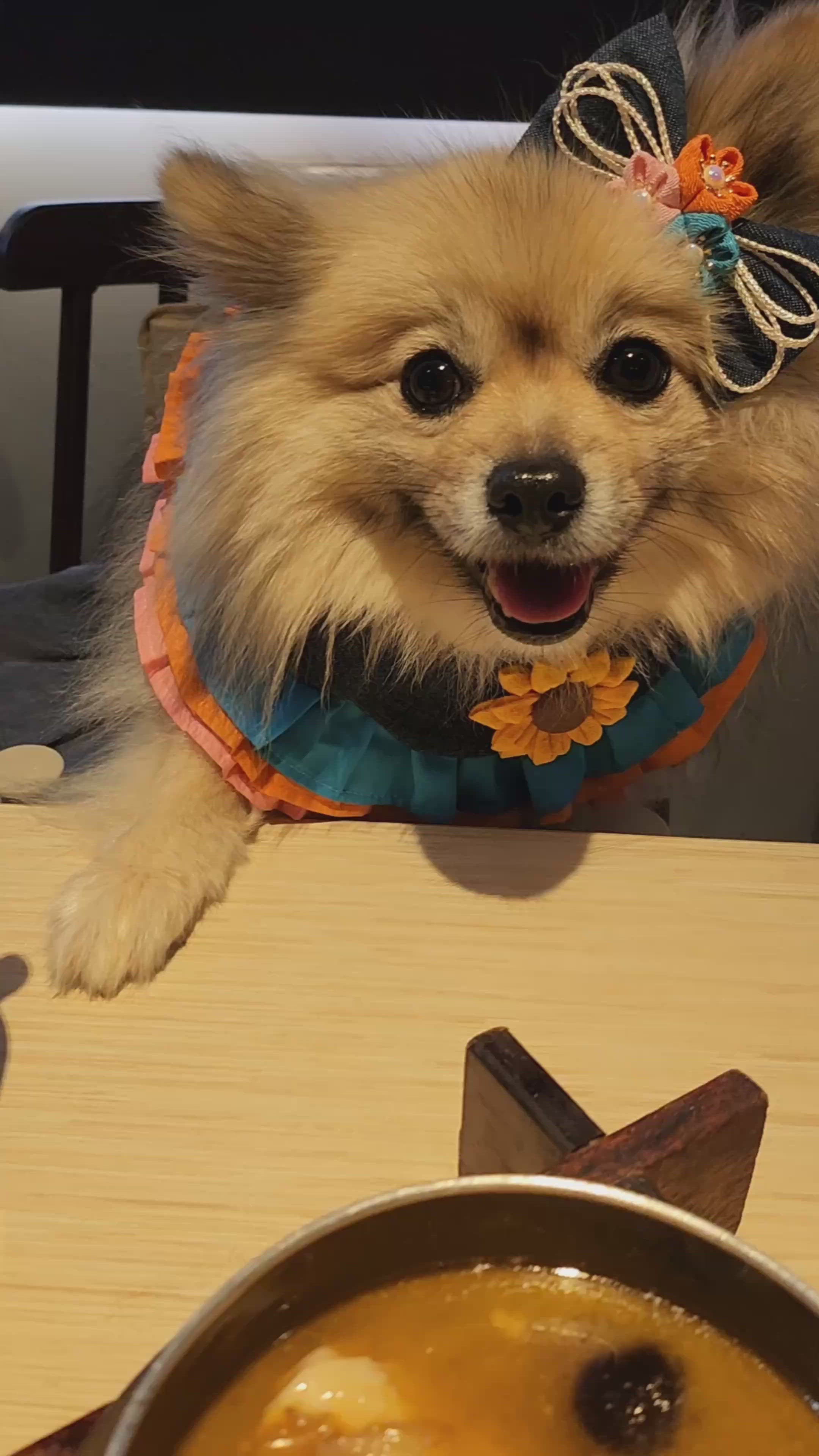 台灣人主理正宗台灣味道