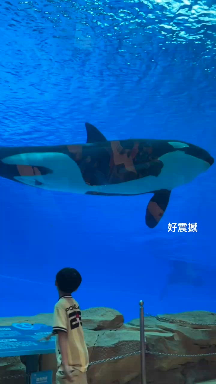 珠海飛船樂園🚀 親子玩樂天堂 