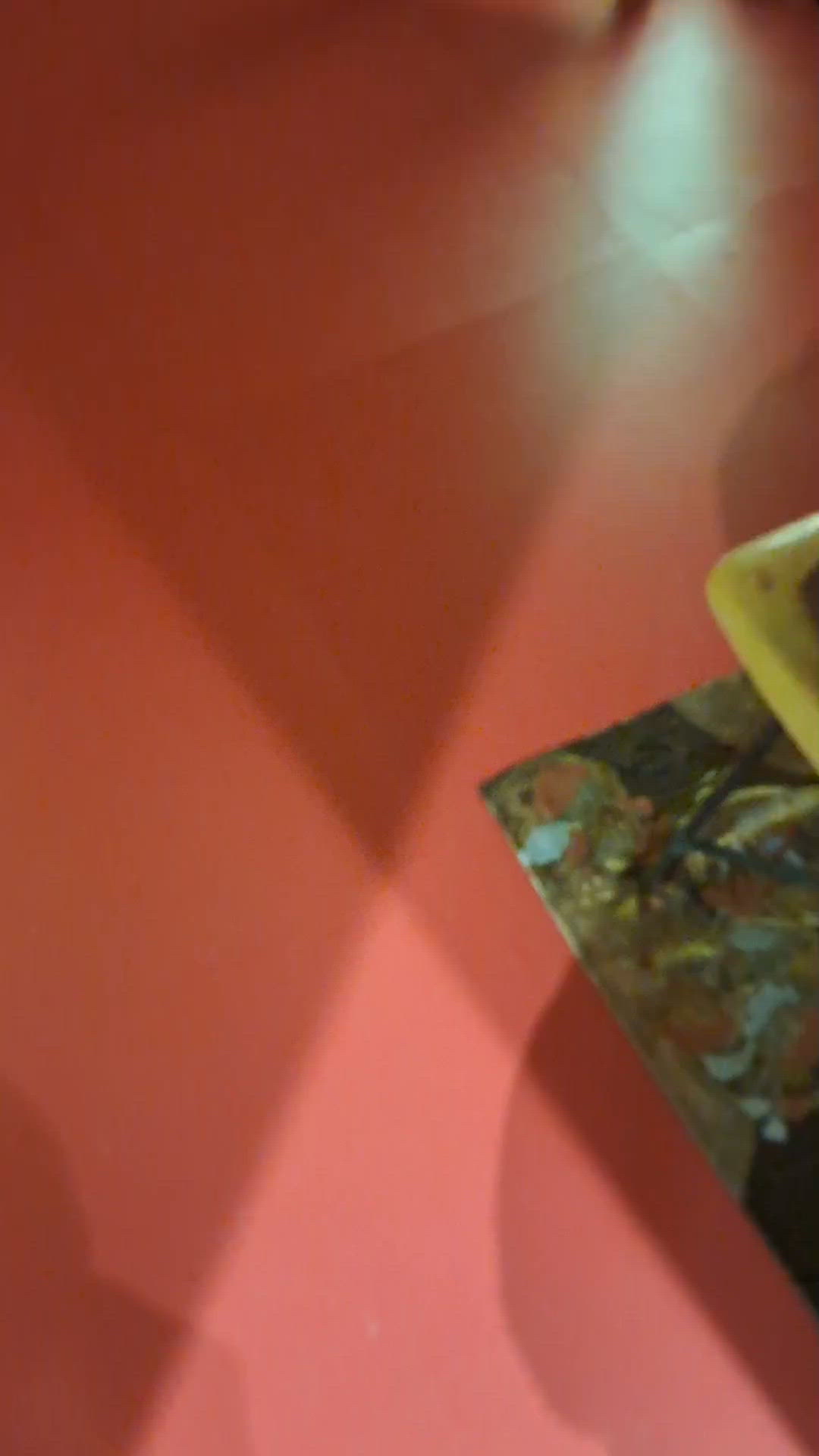 放假睇展覽‘’黃金之境‘’
