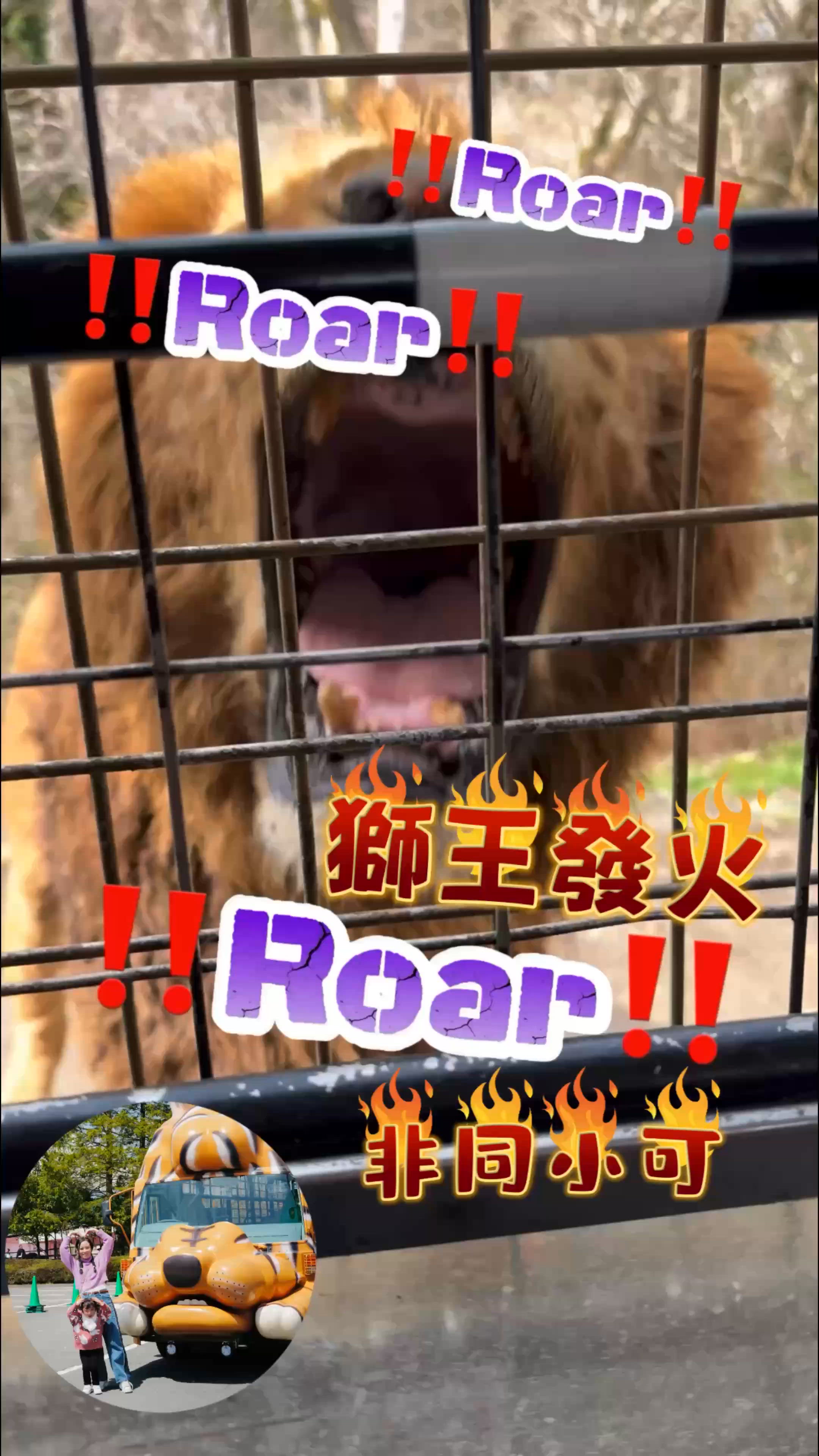 2025親子自駕遊｜富士野生動物園🦁 自駕遊入園超刺激！🚗