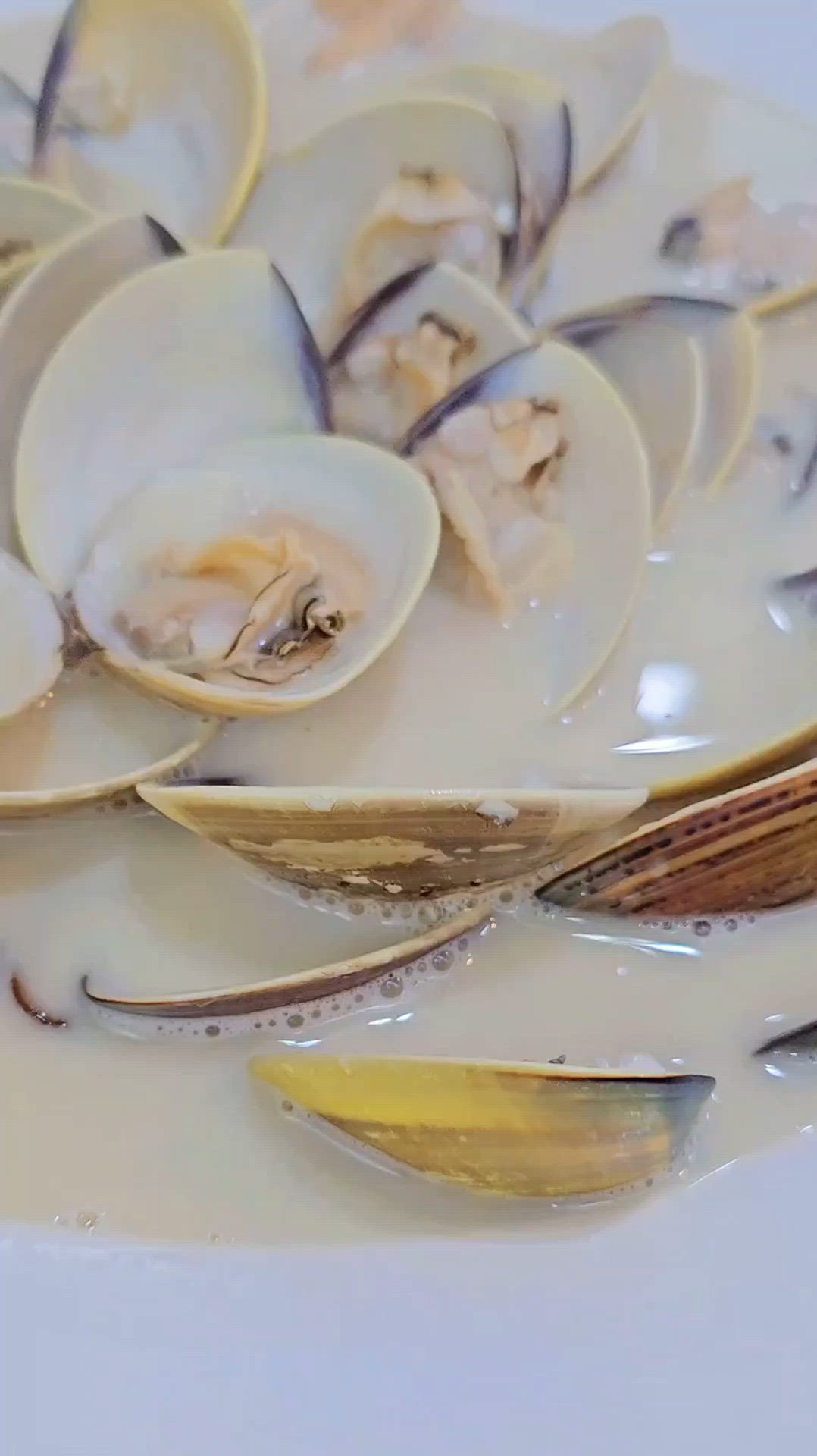 【自淘腰包探店】鑊氣小菜！大角咀良心餐廳！