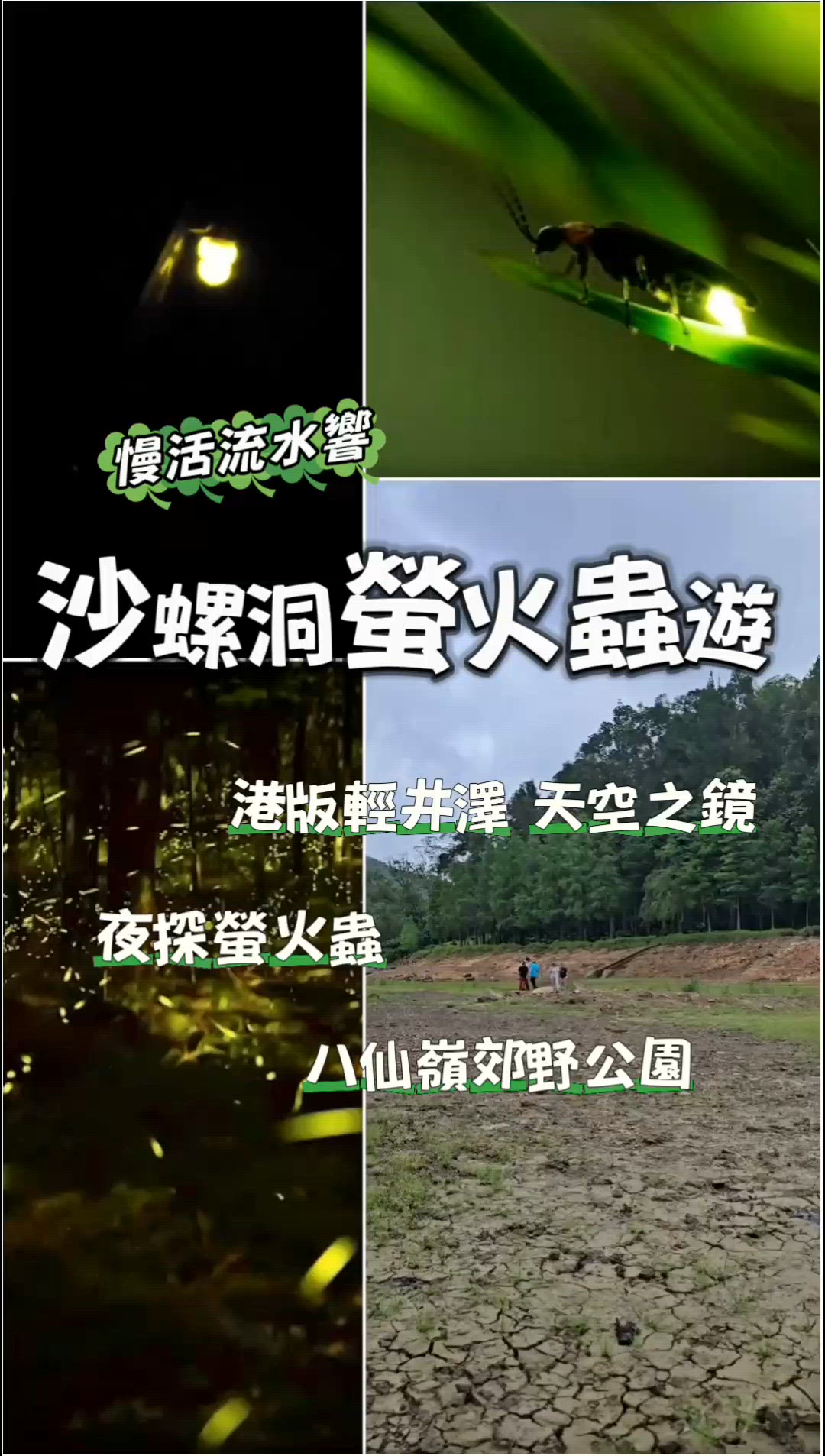 慢活流水響：沙螺洞螢火蟲遊🌲