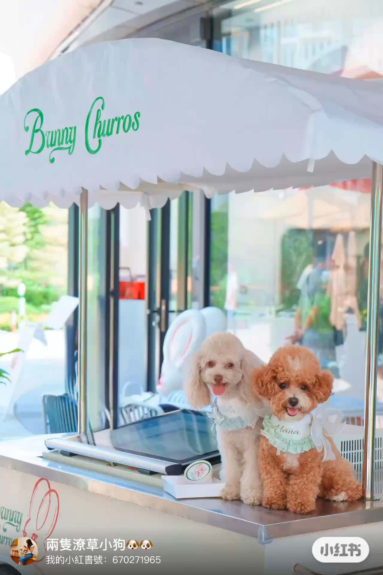 無乳糖士多啤梨味雪糕🐶🍦狗狗都食得！