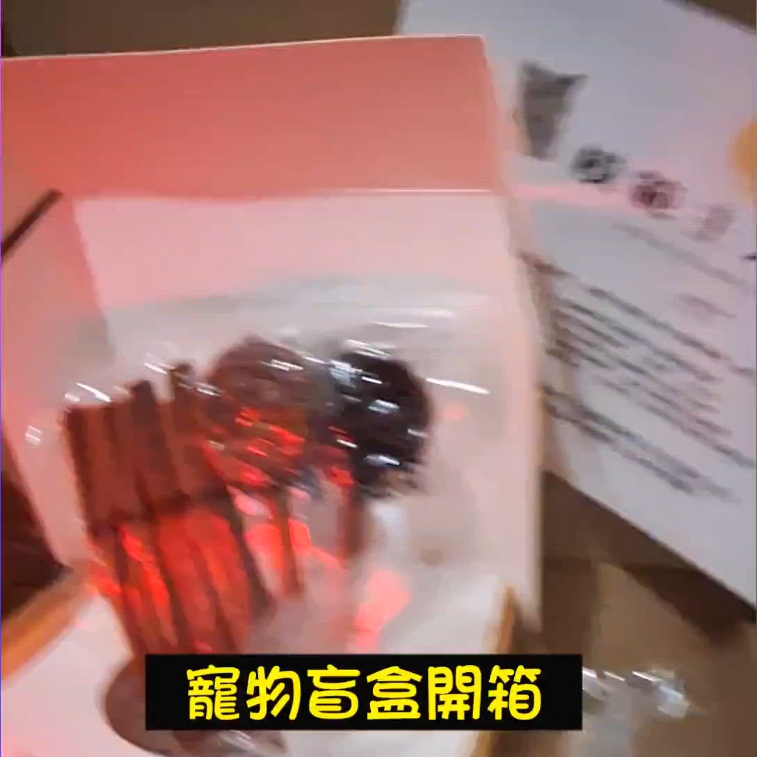新仔開箱！寵物發佈會🤩 估吓咩係暗藏玄機？🤔