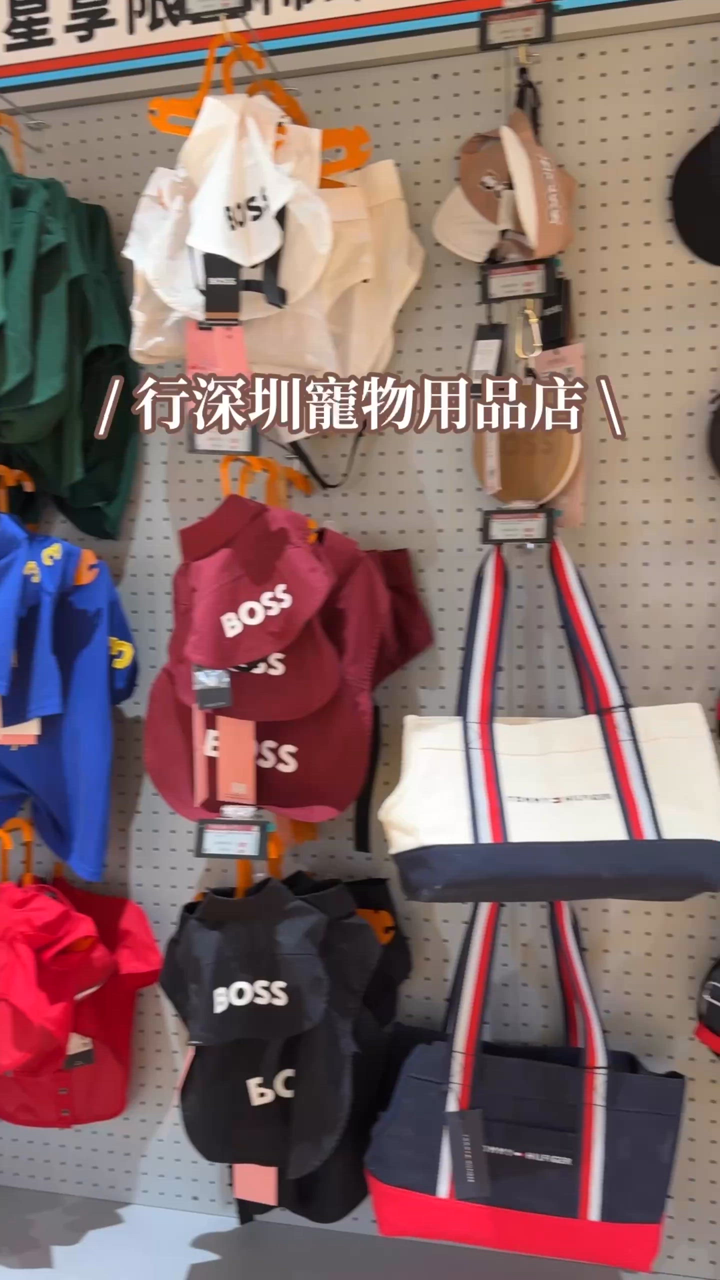 行深圳寵物超市🛍️