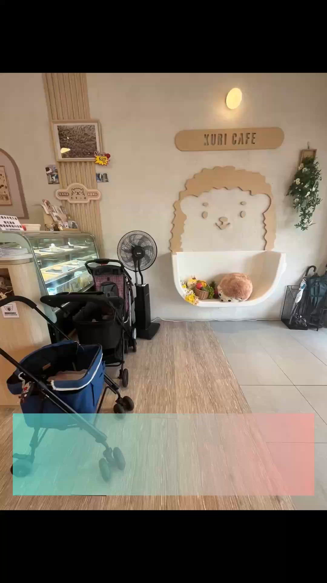 支持小店系列💪大埔寵物友善餐廳🦔 