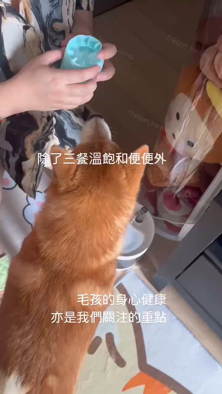 除了三餐溫飽和便便外，毛孩的身心健康亦是我們關注的重點| U Community 社群平台