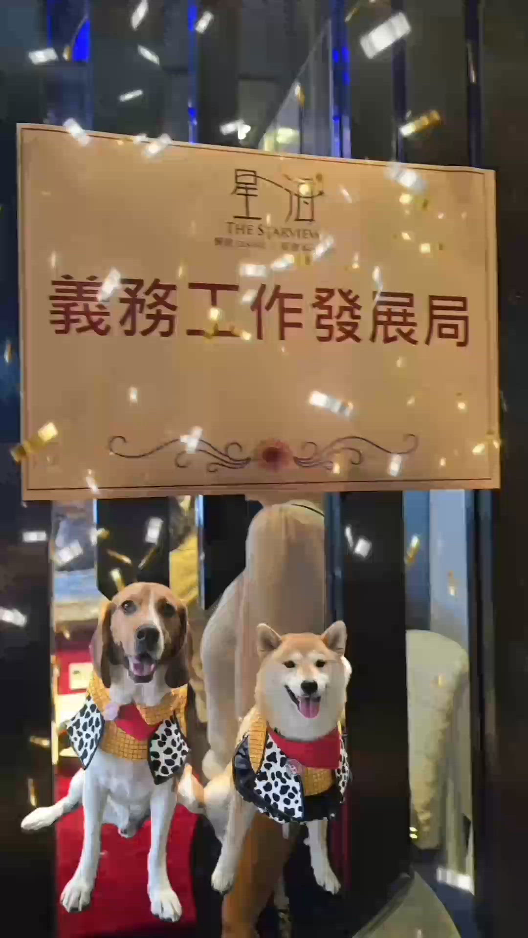 「義務工作發展局傑出義工網絡 (前稱"香港傑出義工會"」周年