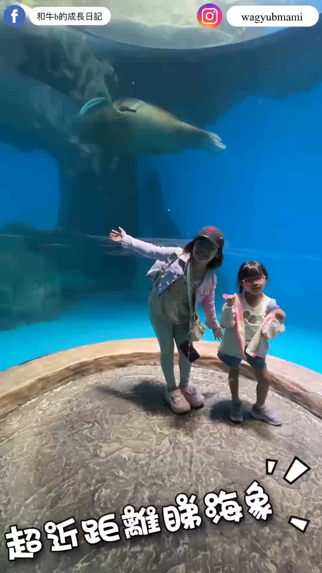 海獅海象海豹大放送！🤩 北極之旅打卡必去！📸仲有9折優惠