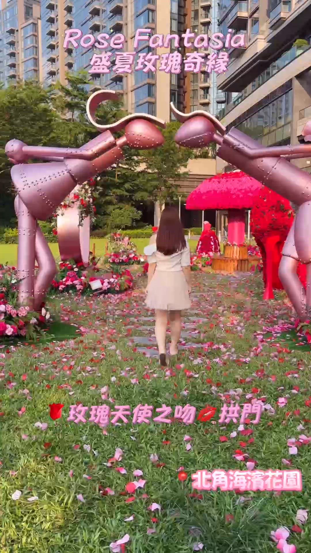 🌹✨ 一片睇清｢玫瑰花夏｣全攻略✨🌹