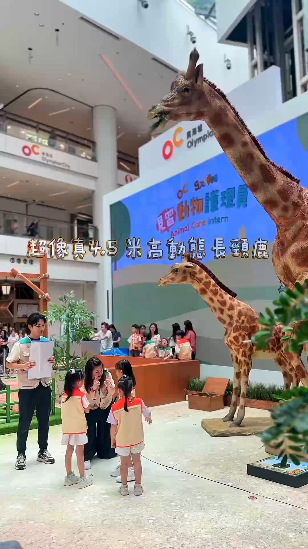 今個暑假必玩~見習動物護理員