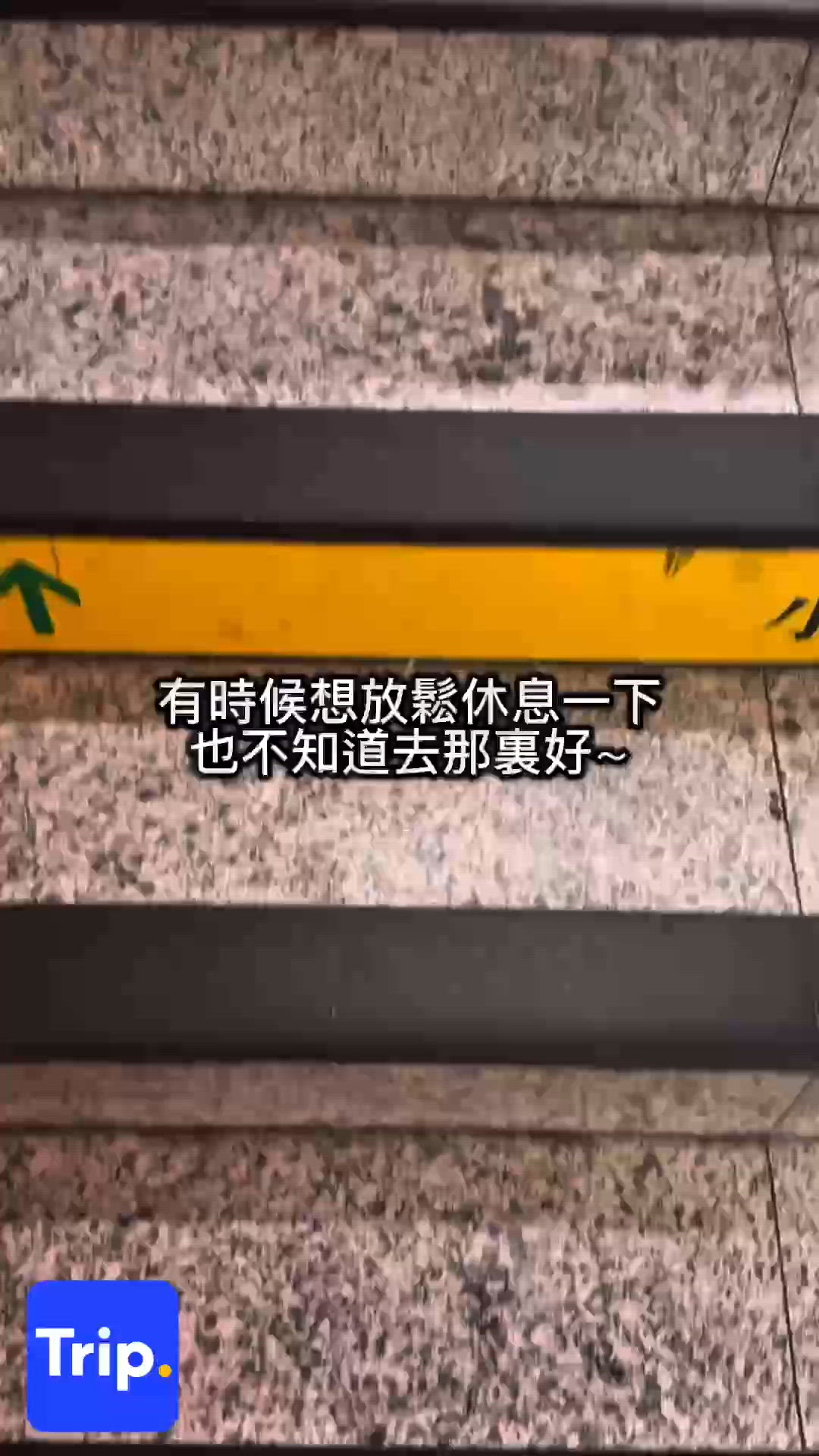 香港Staycation叉電🔋！沙田麗豪酒店優惠🤩！