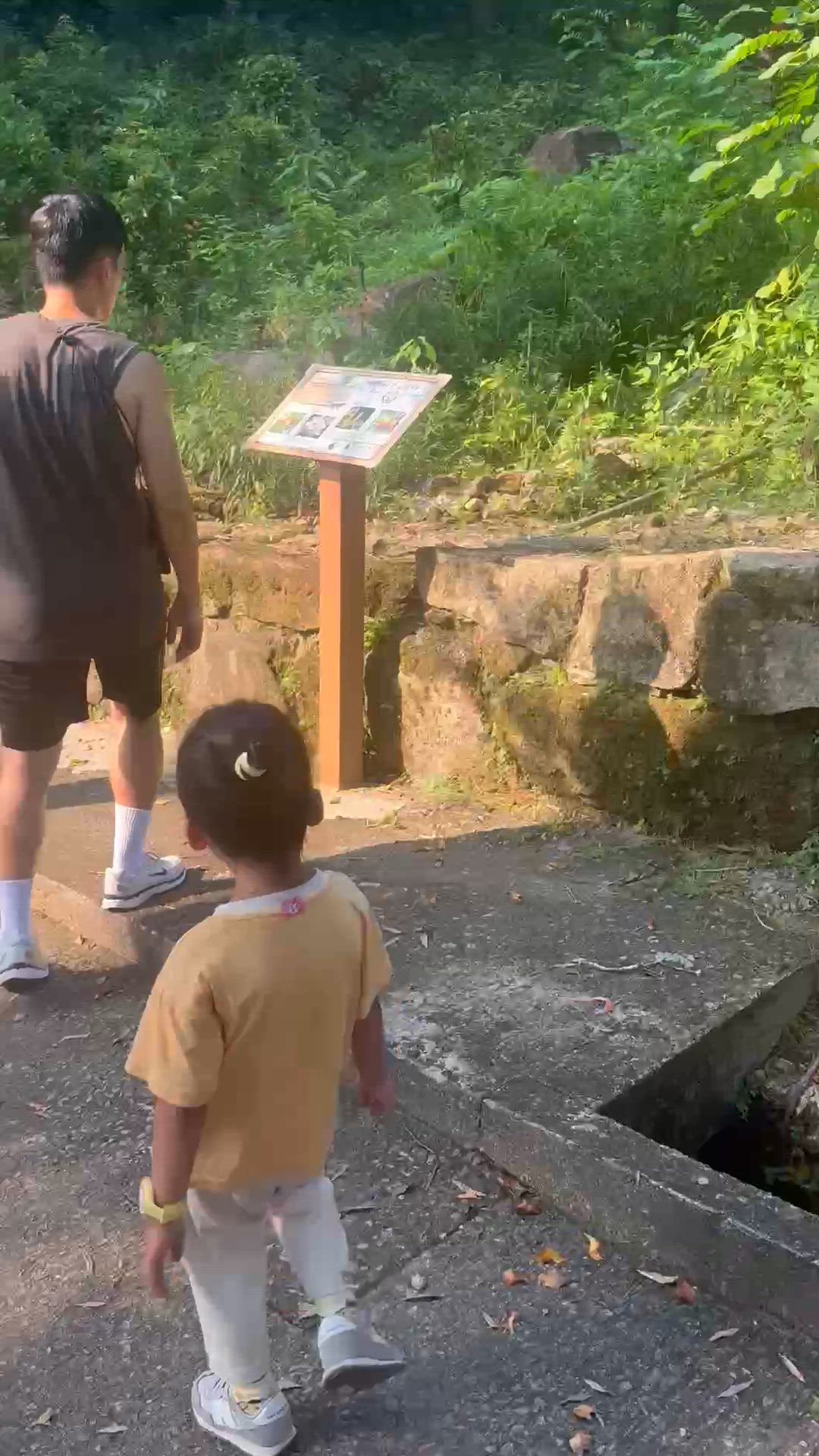 unbelievable!! 呢度係香港？🦋