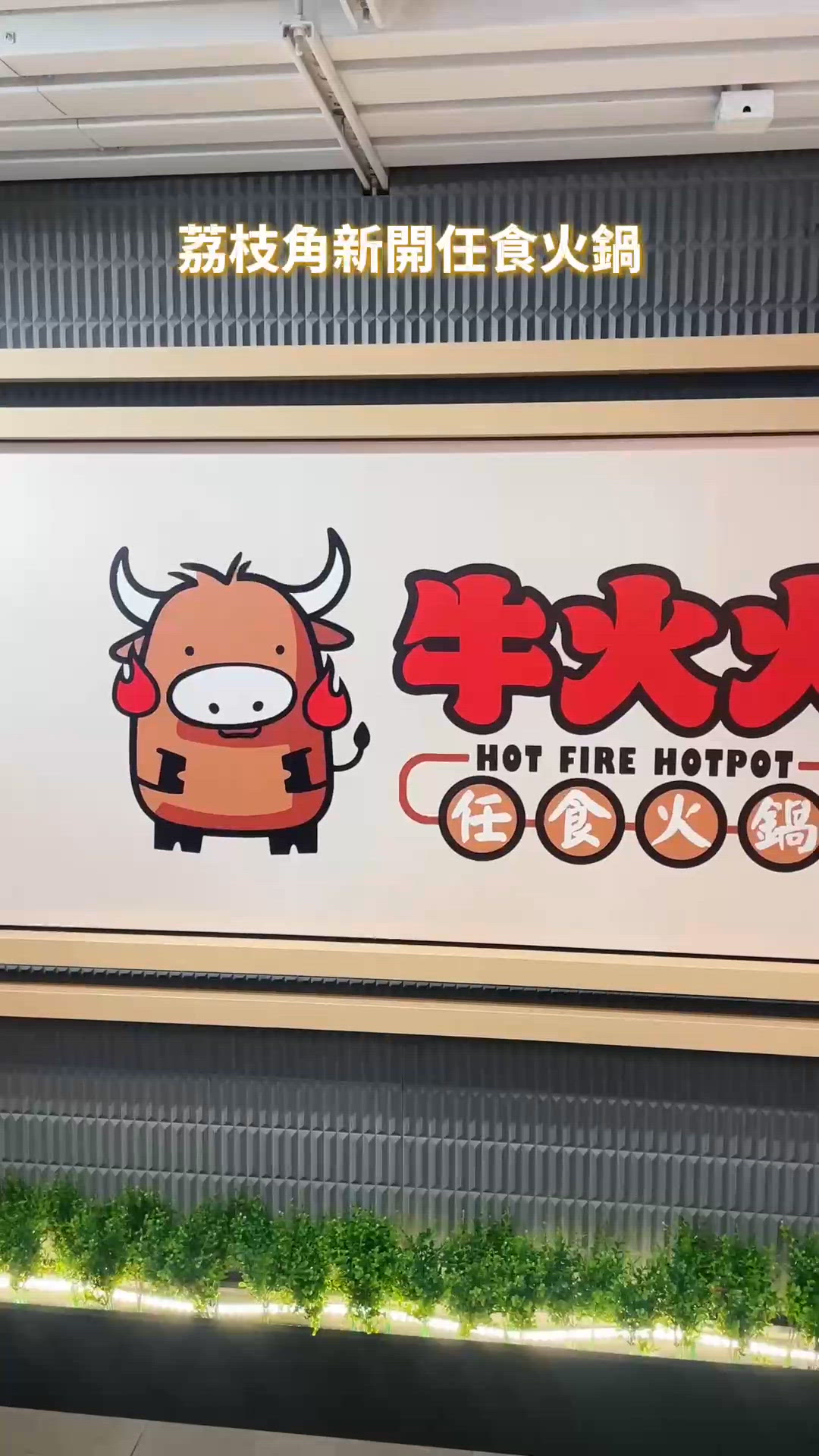 荔枝角新開牛火火火鍋任食