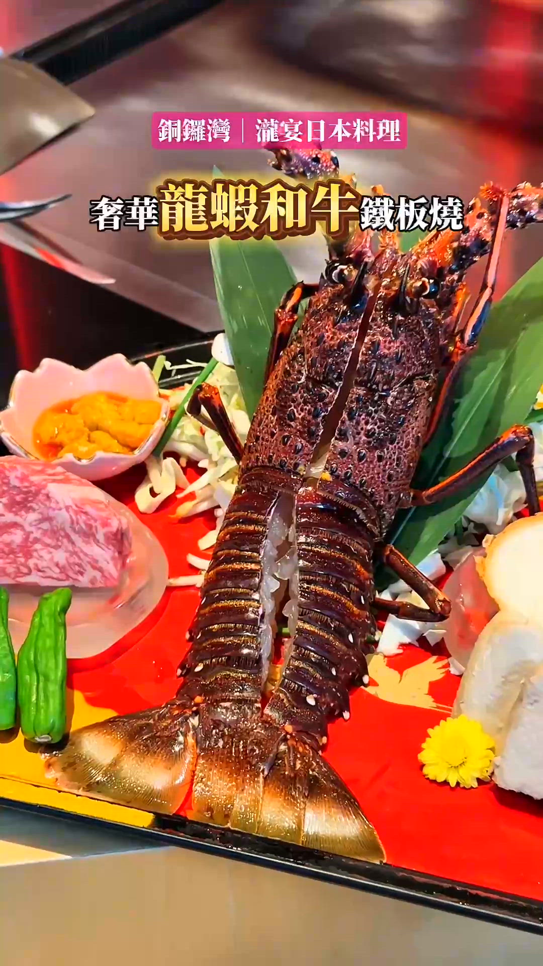 飽覽維港夜景🌃高CP龍蝦和牛鐵板燒🔥