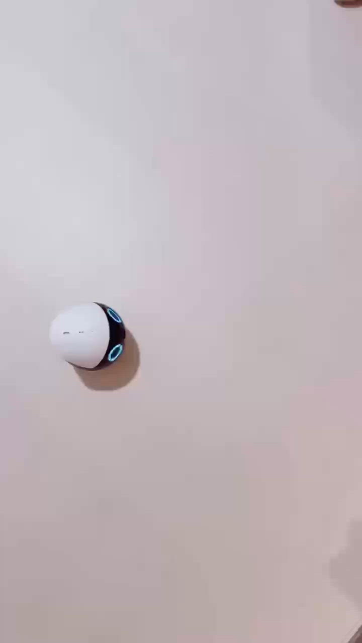 新產品🤎可以守護毛孩既世一機械人ROLA！🐶🤖