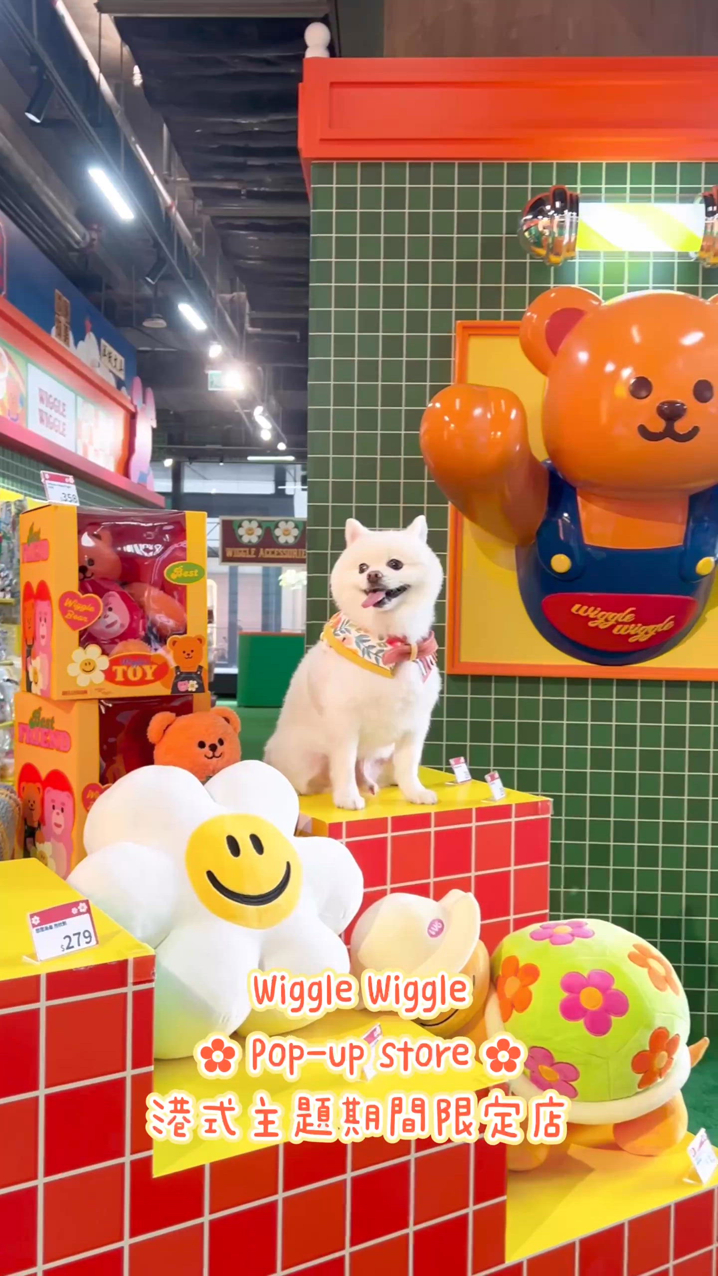 🌈韓國人氣品牌 𝐖𝐢𝐠𝐠𝐥𝐞 𝐖𝐢𝐠𝐠𝐥𝐞返黎啦✿!!!