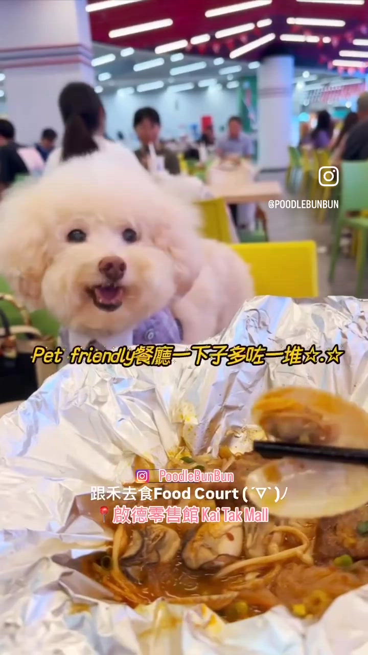 笨笨 #陪食專員 🥢 啟德體育園 美食廣場