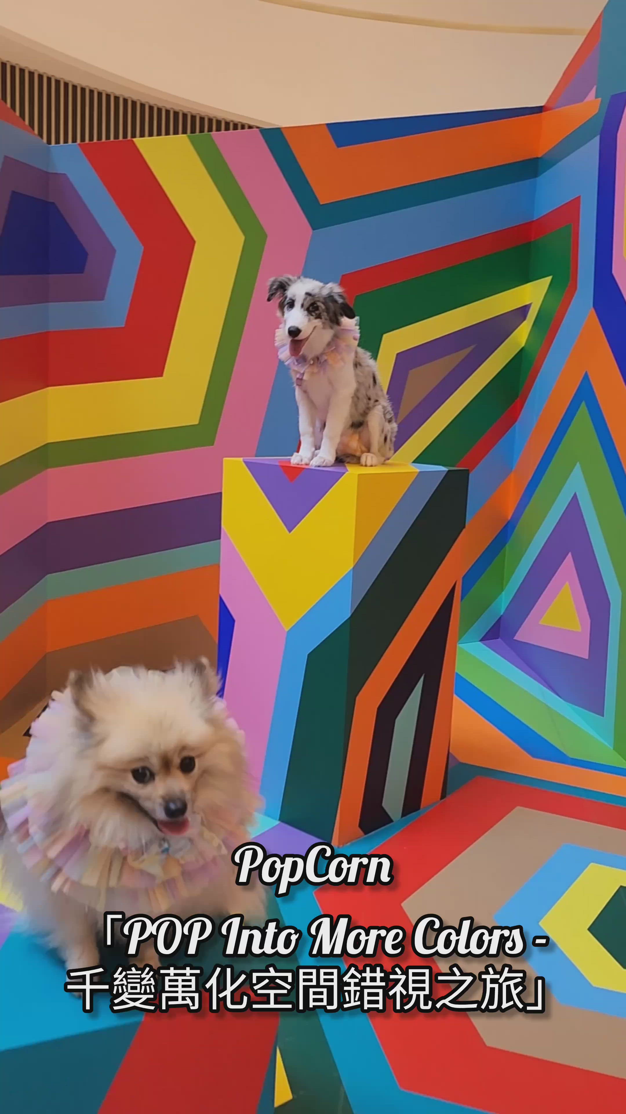 PopCorn-POP Into More Colors
