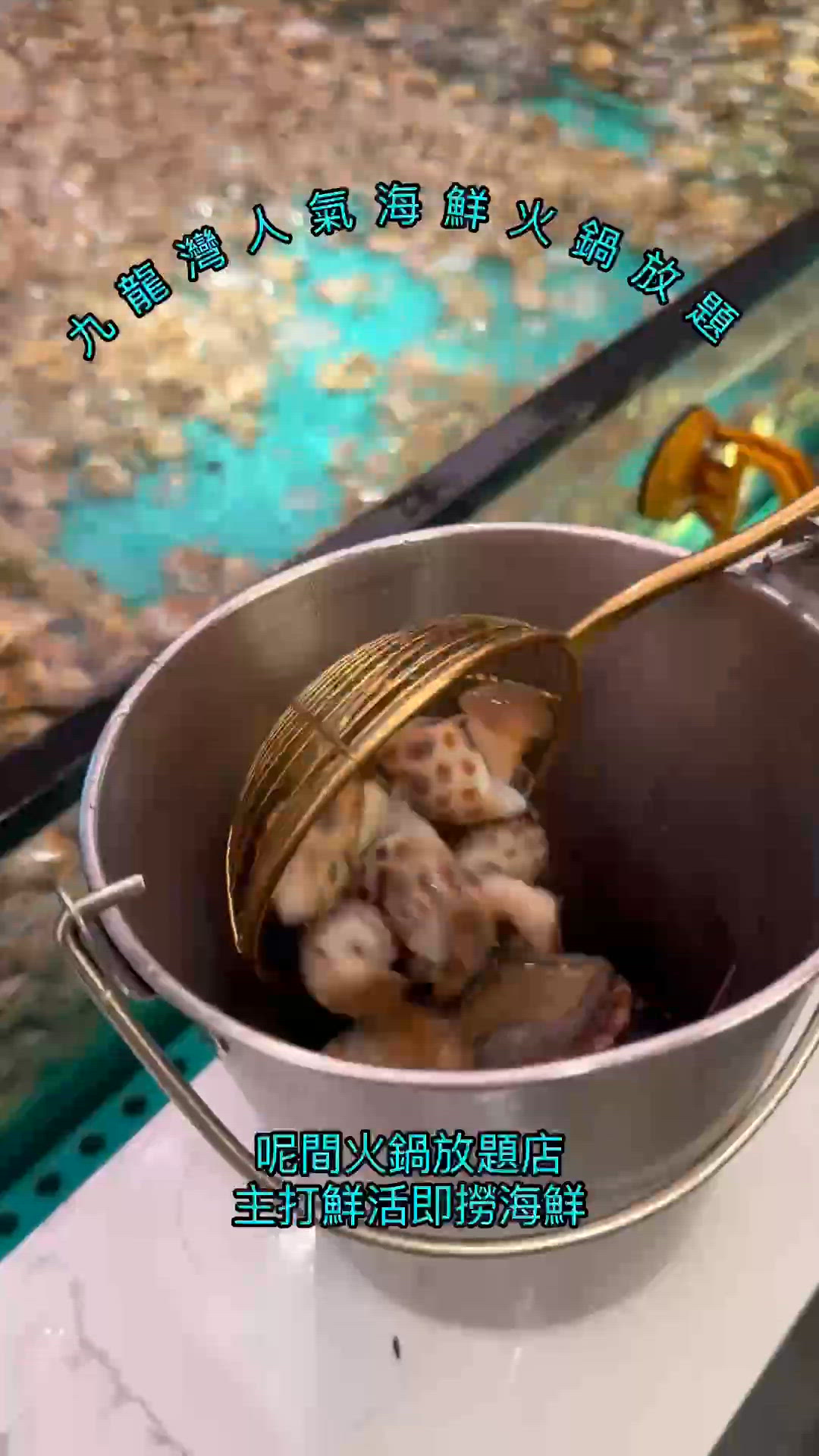 🇭🇰九龍灣人氣海鮮火鍋放題