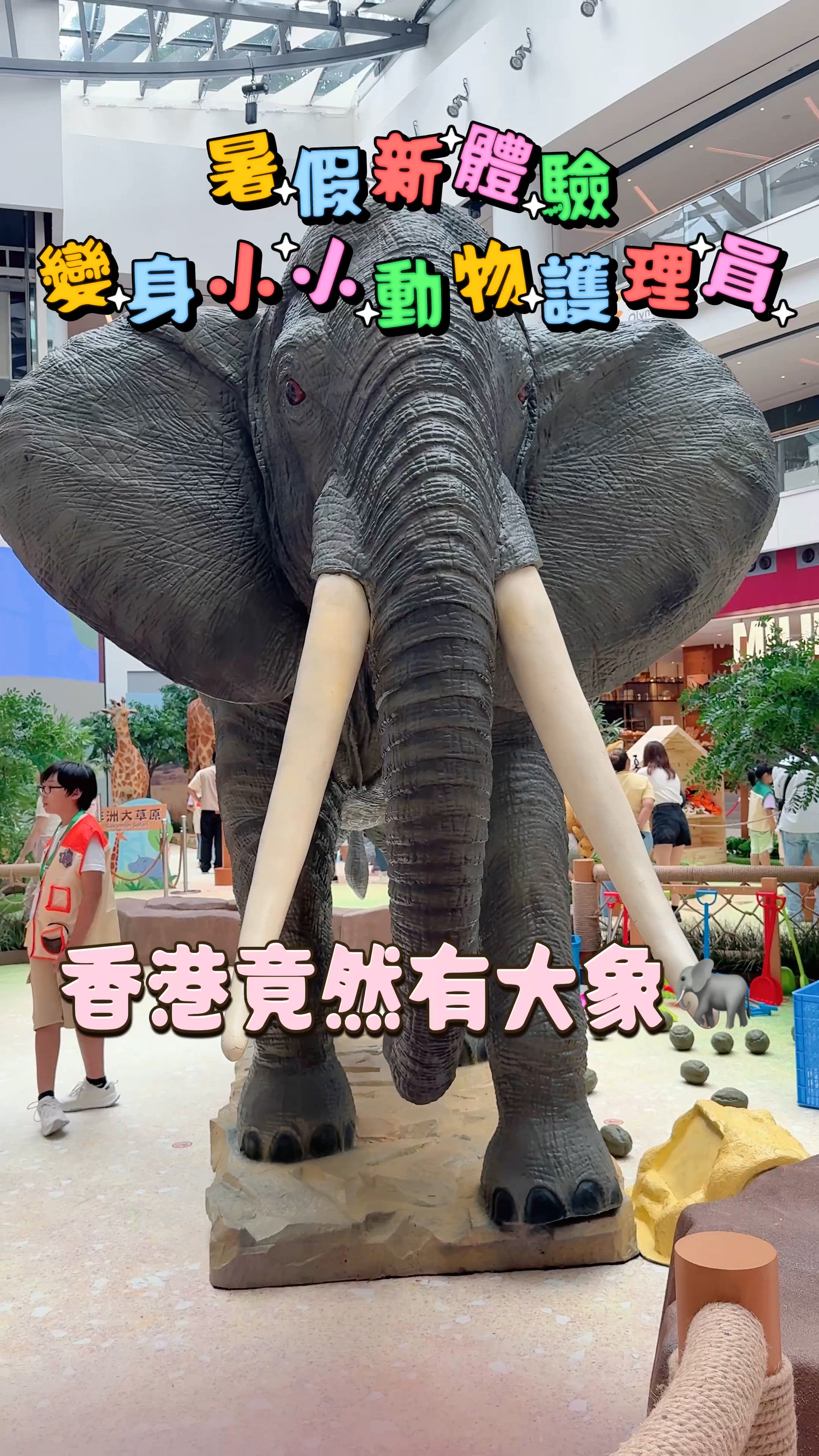 【奧海城動物護理員體驗！暑假必玩🤩】