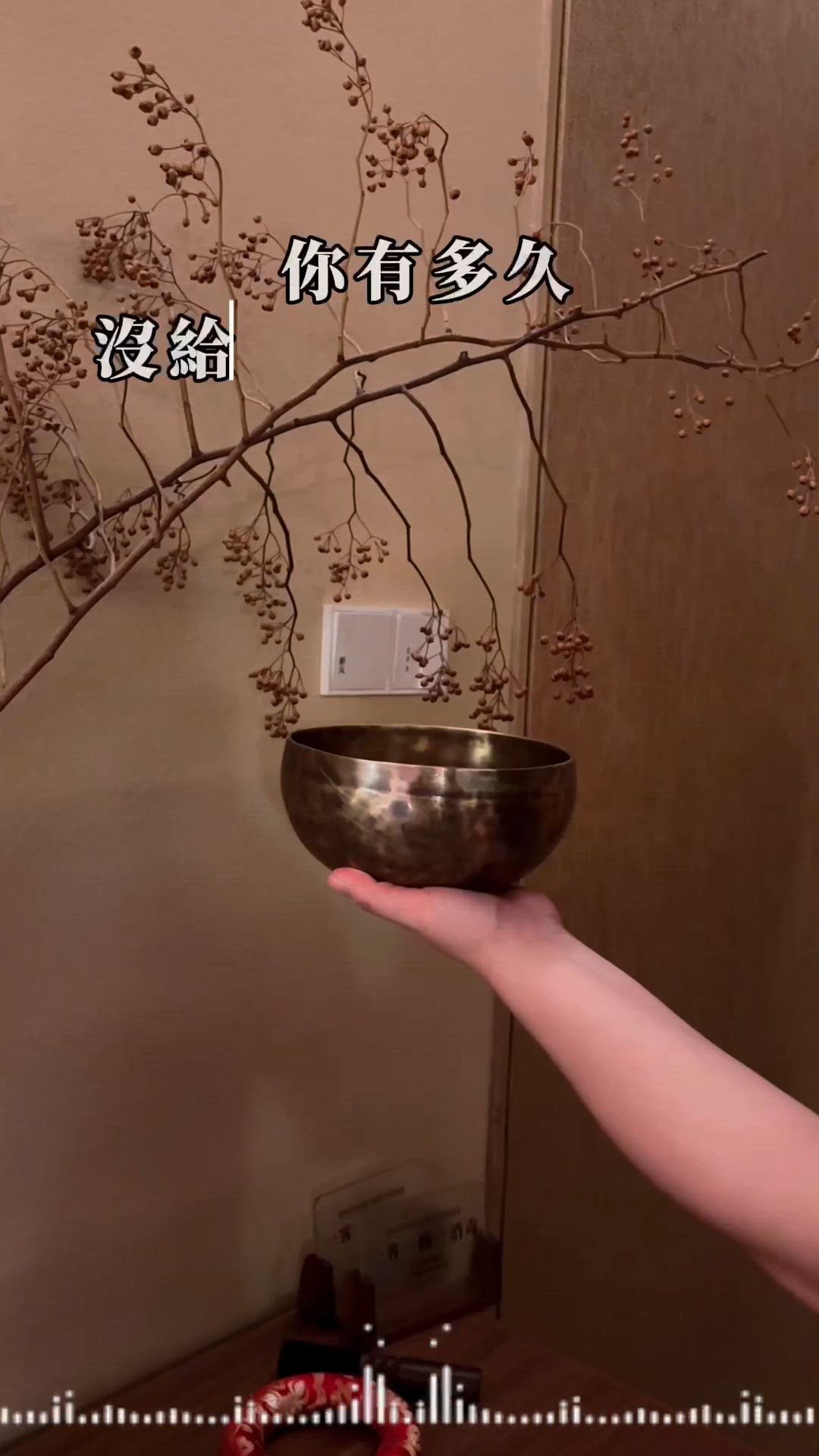 🎀深圳｡在深圳給你一個喘息的理由💞🎀