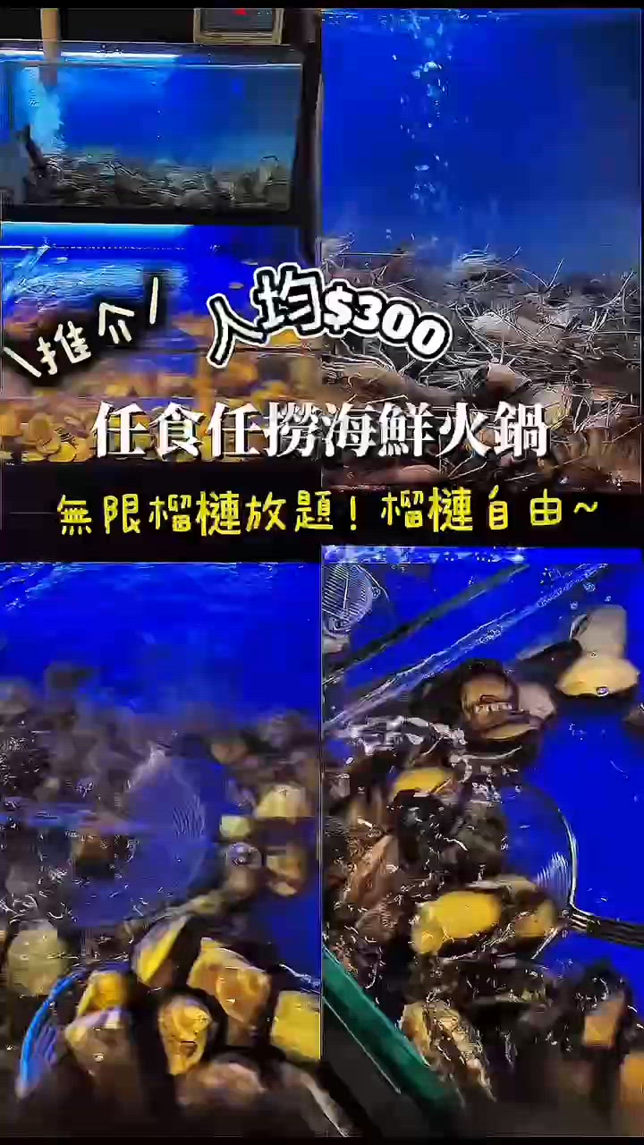人均300 任食任撈海鮮火鍋