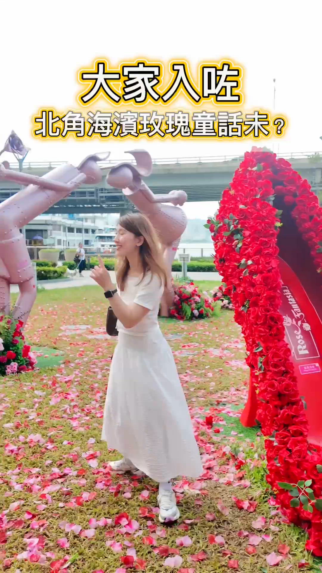 玫瑰花海打卡攻略📸！週末去邊好？🌹