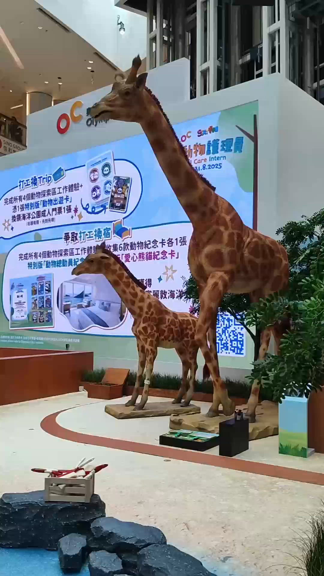 🦒非洲森林探險🐘