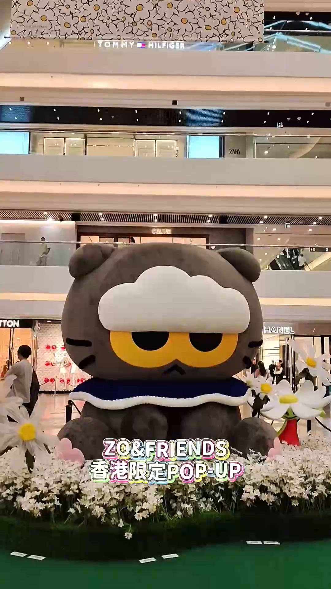 銅鑼灣📍ZO&FRIENDS POP-UP🐈‍⬛