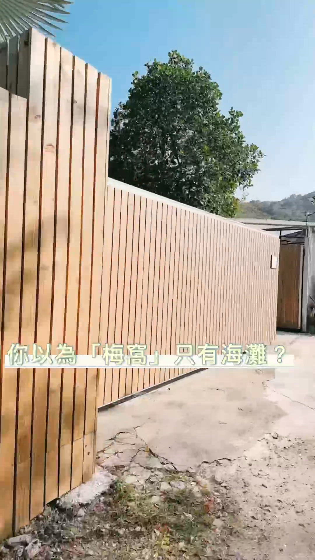 📍梅窩打卡推薦 | 湖景Cafe+店貓互動