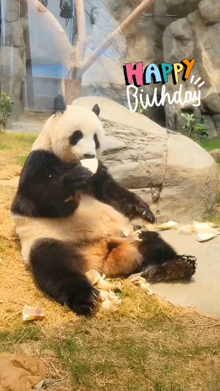 一家四口生日快樂！🥳 8月見家姐細佬！👶🏻👶🏻