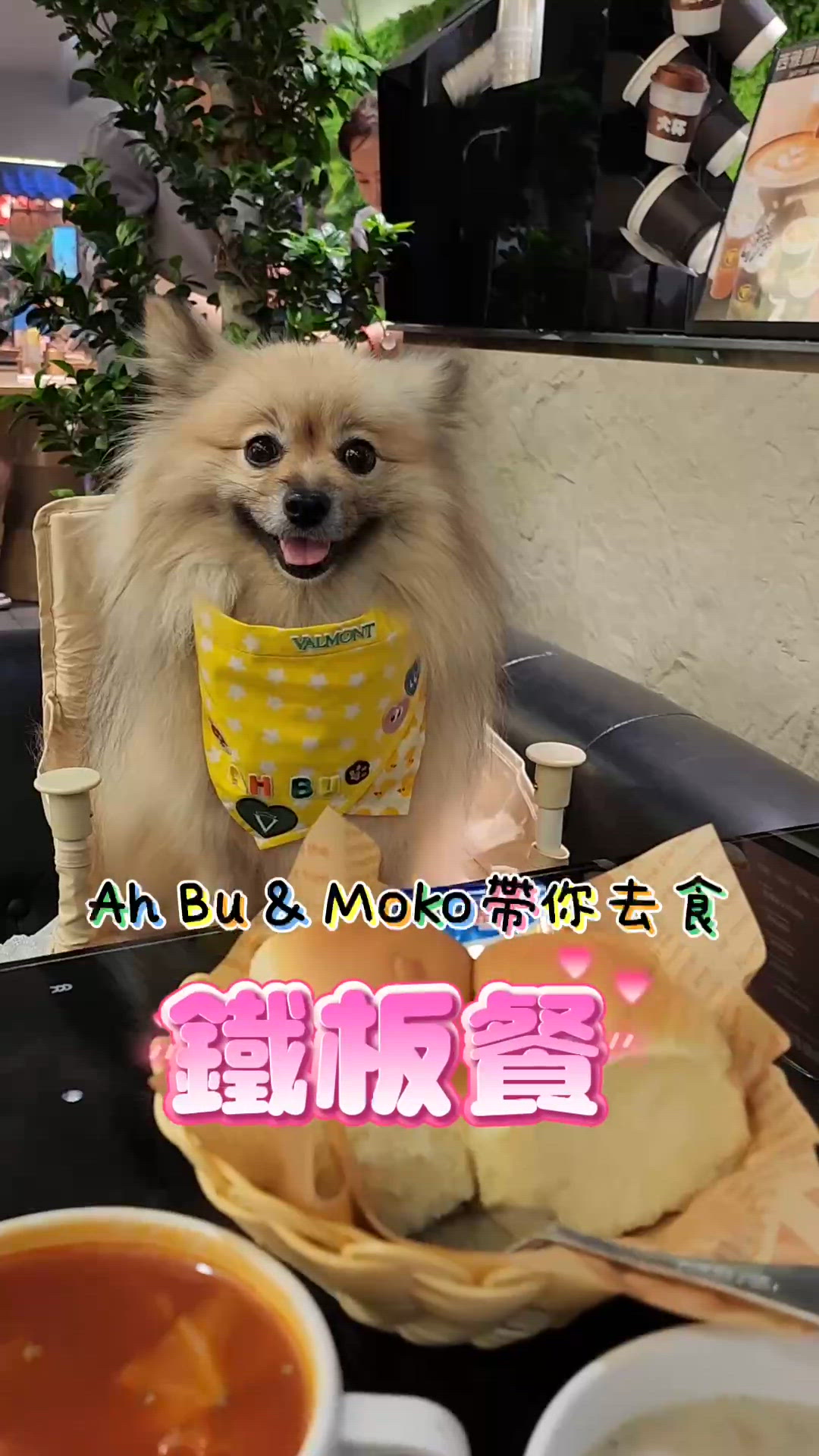 同毛孩一齊食鐵板餐