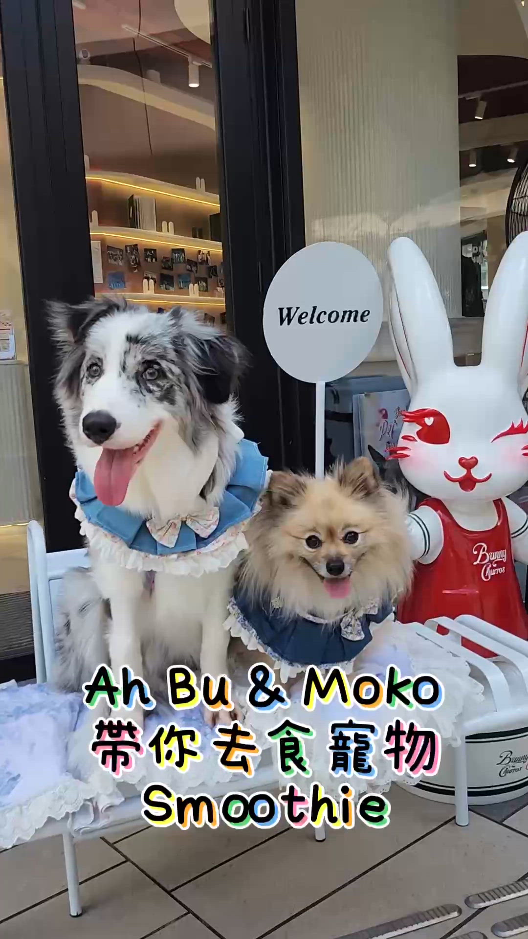 寵物Smoothie