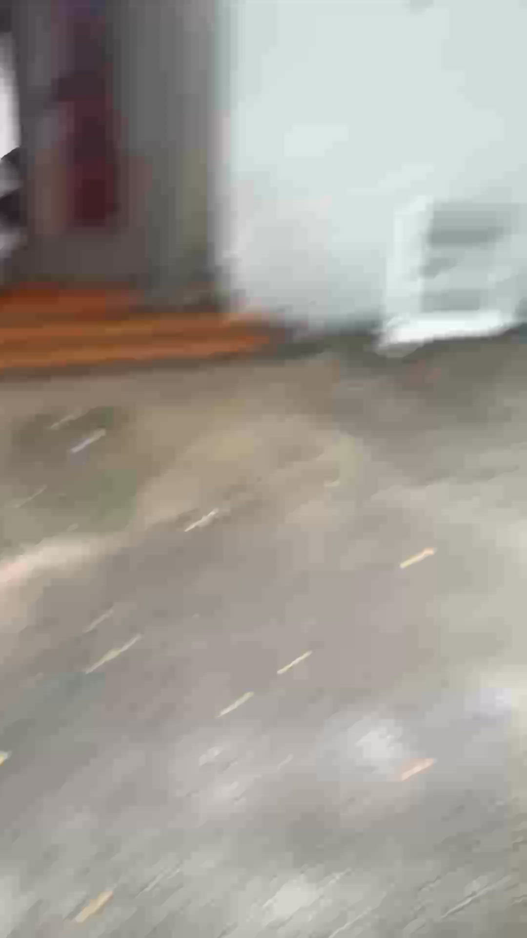 荃灣三棟屋博物館