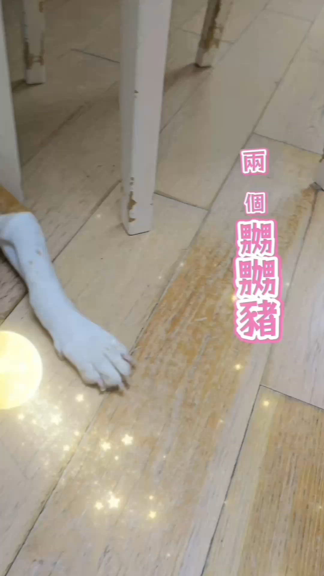 寧夏手信