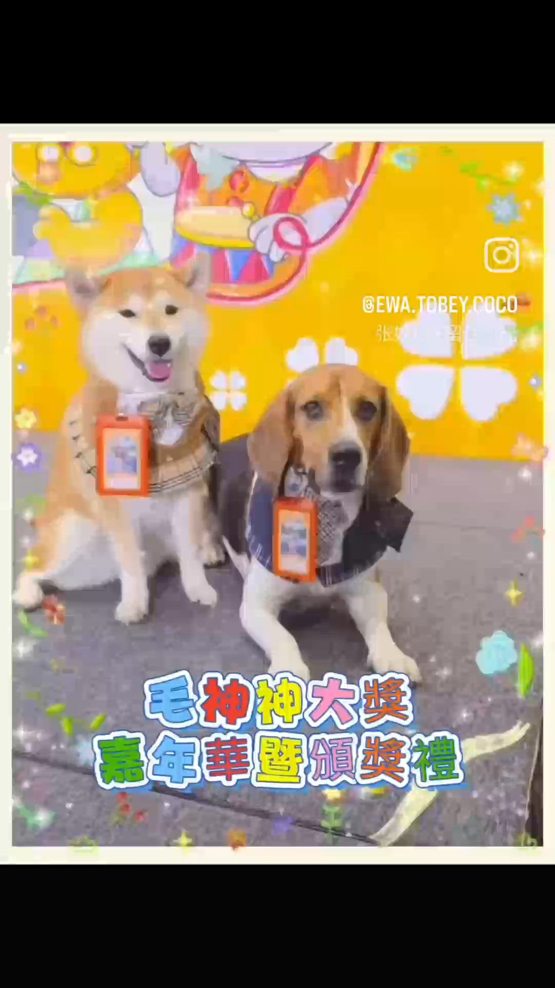 毛神神大獎2025盛事