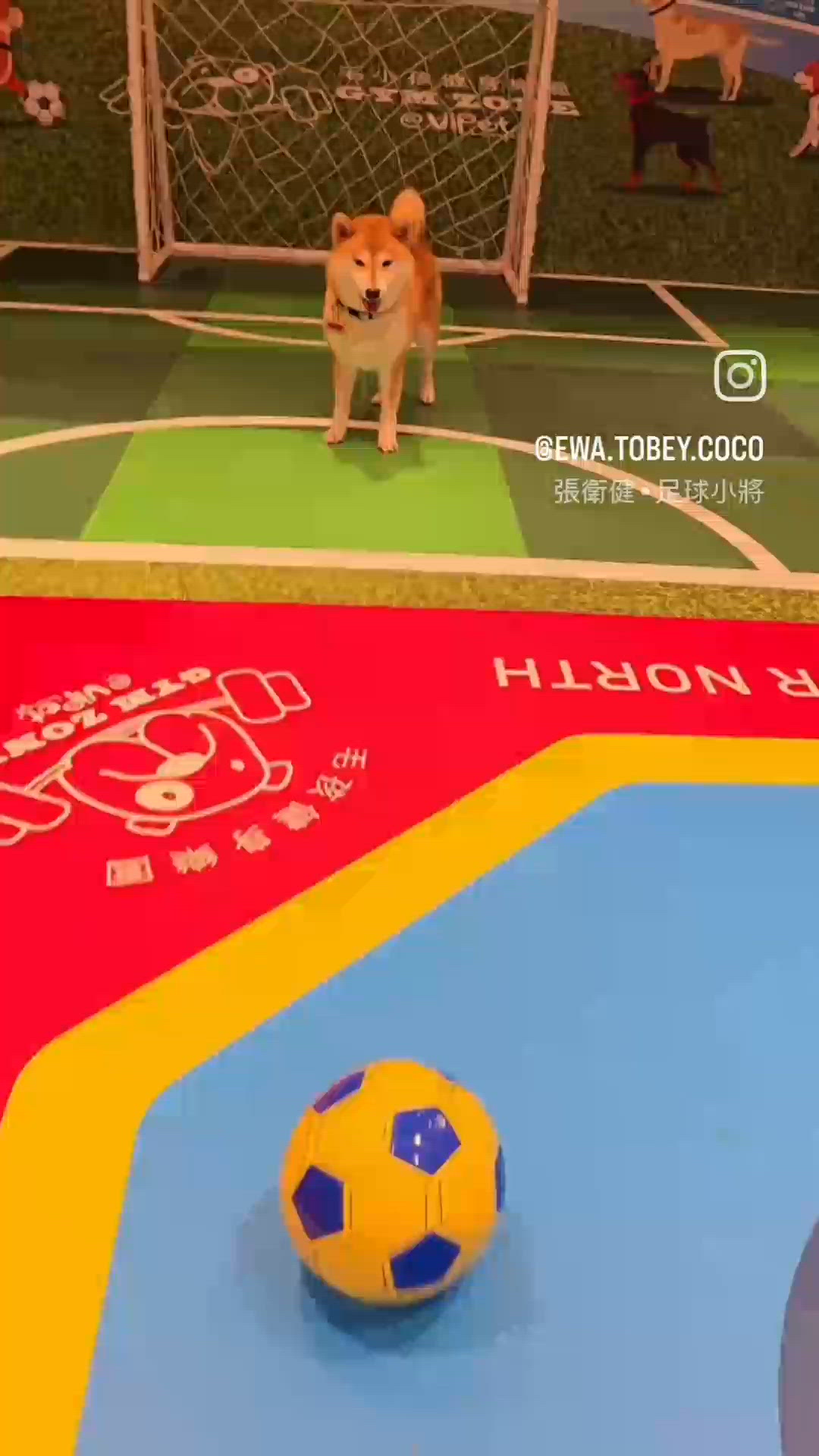 coco踢足球
