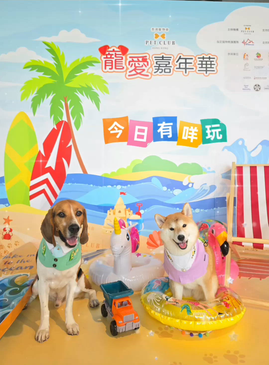 西沙有活動